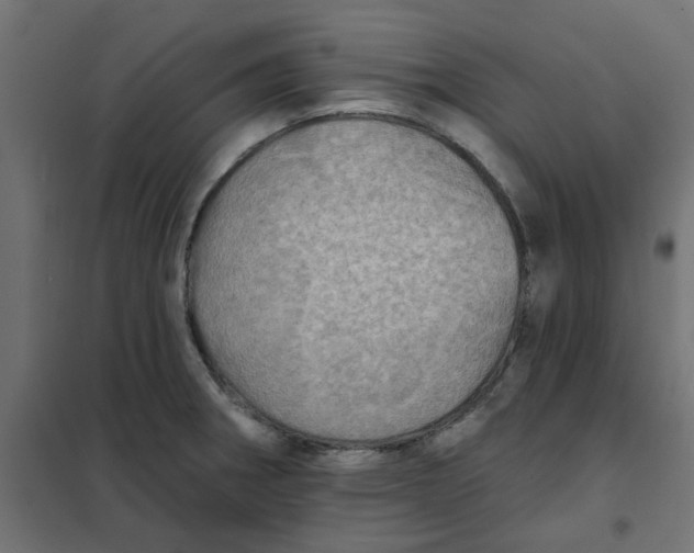 X0000102021282200808081739