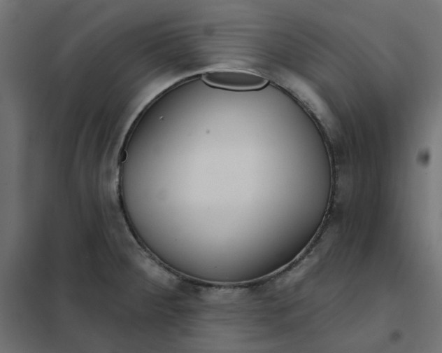 X0000102021284200808081739