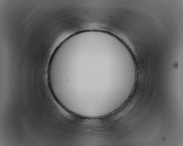 X0000102021285200808081739