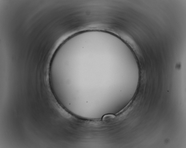 X0000102021288200808081739