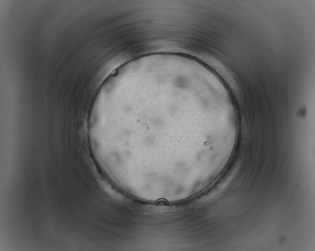 X0000102021289200808081739