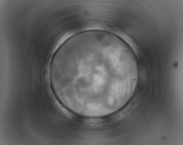 X0000102021290200808081739