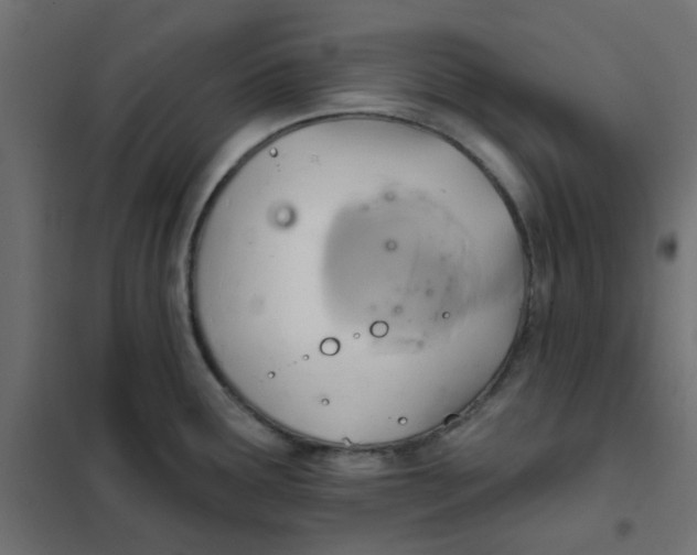 X0000102021291200808081739