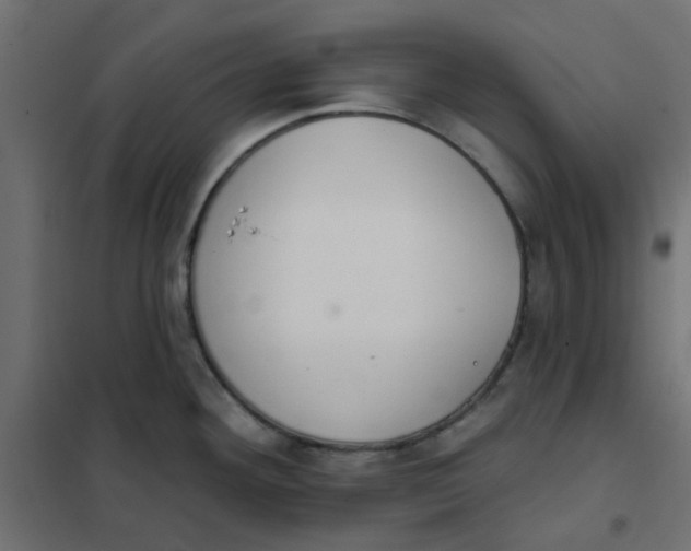 X0000102021292200808081739