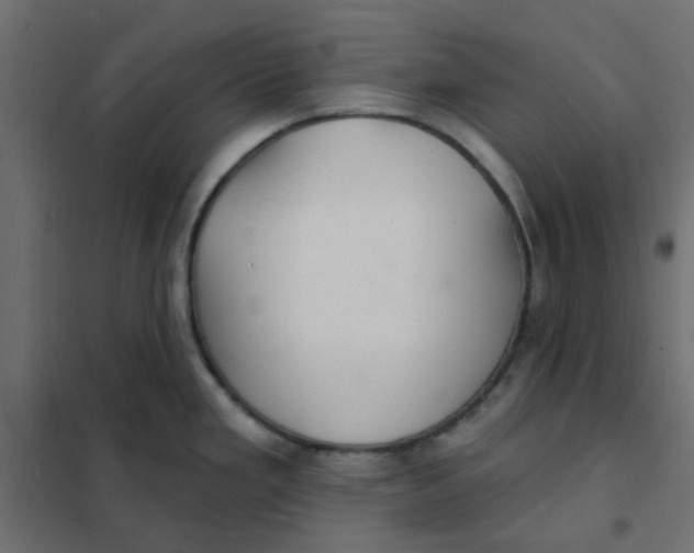 X0000102021293200808081739