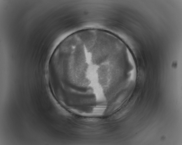 X0000102021295200808081739