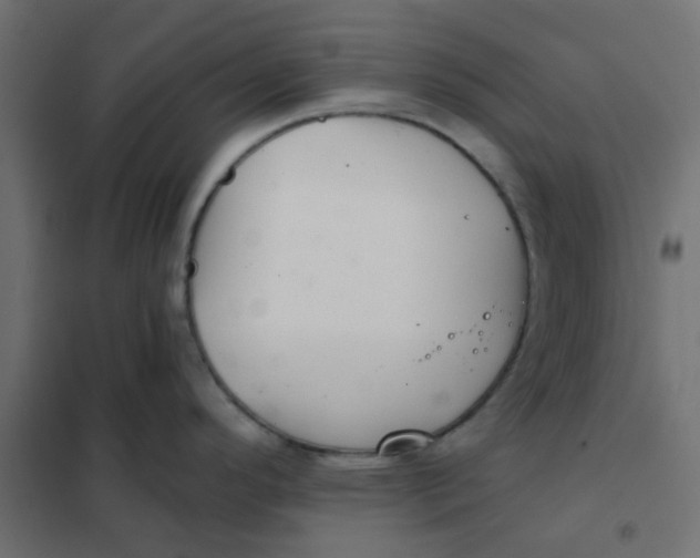 X0000102021296200808081739