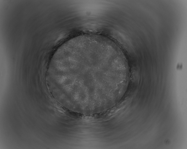 X0000102021297200808081738