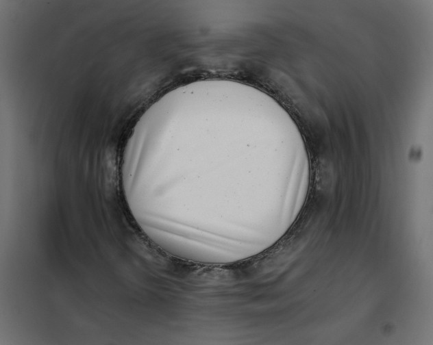 X0000102021298200808081738