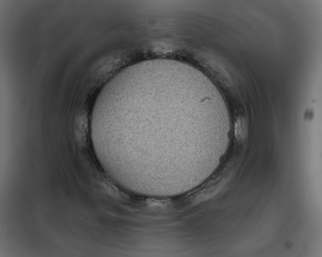 X0000102021299200808081738