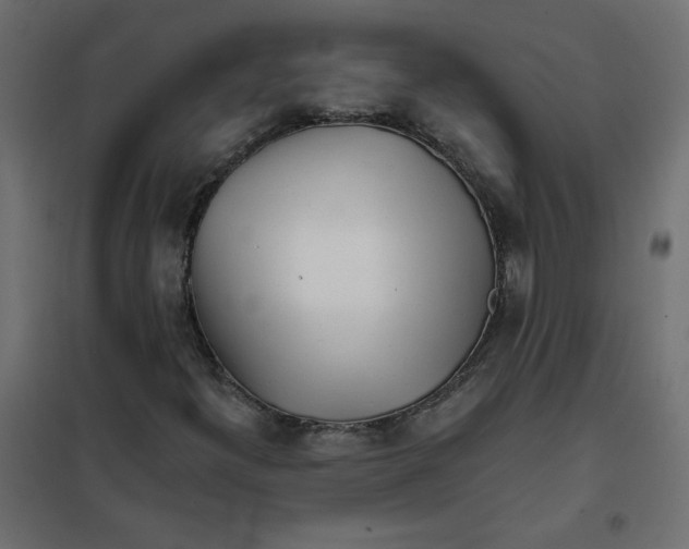 X0000102021300200808081738