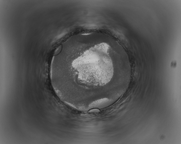 X0000102021301200808081738
