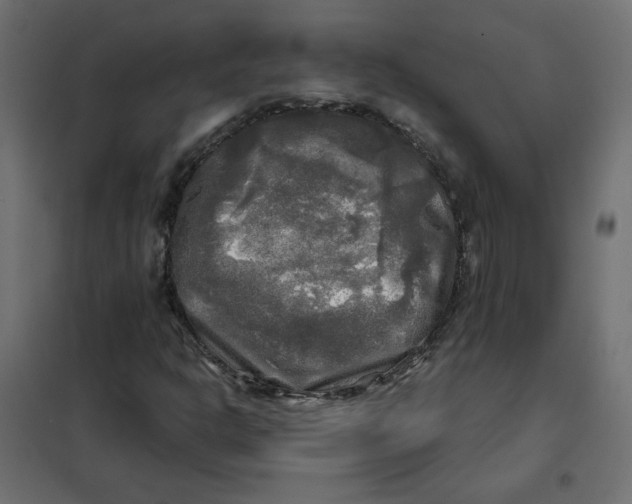 X0000102021302200808081739