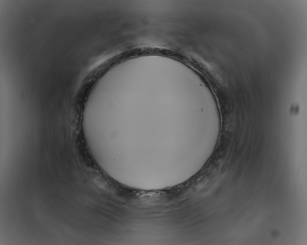 X0000102021303200808081739