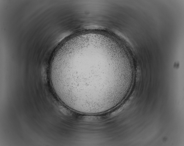 X0000102021305200808081739