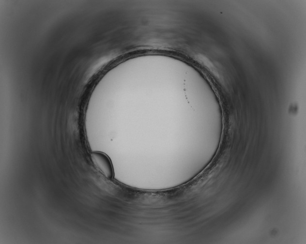 X0000102021307200808081739