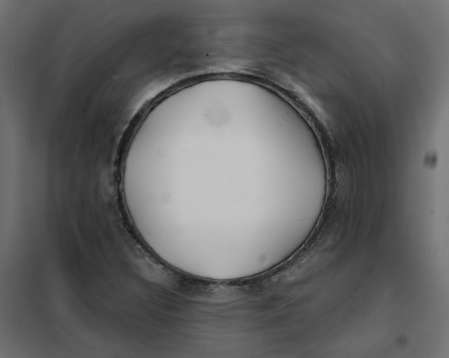 X0000102021308200808081739