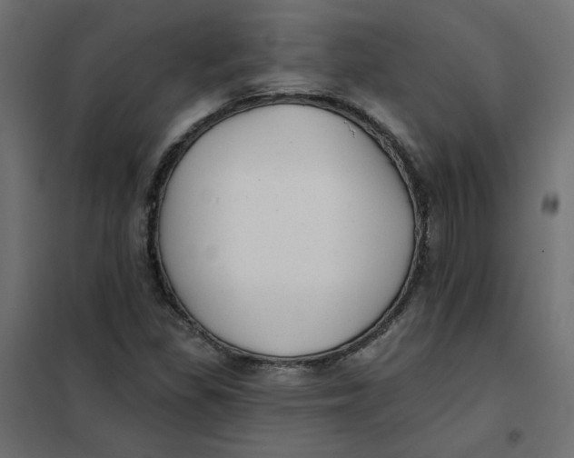 X0000102021309200808081739