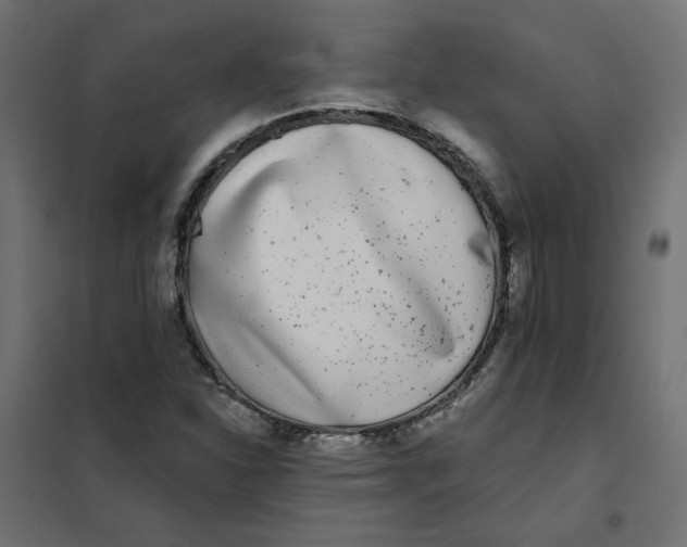 X0000102021310200808081739