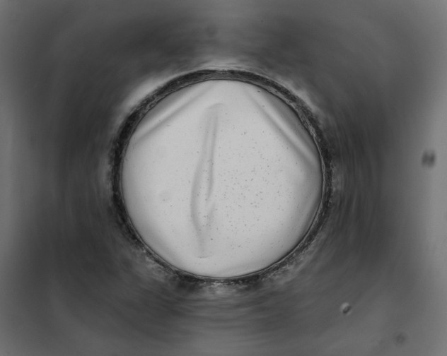 X0000102021311200808081739