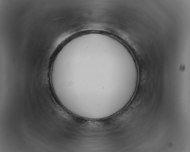 X0000102021312200808081739