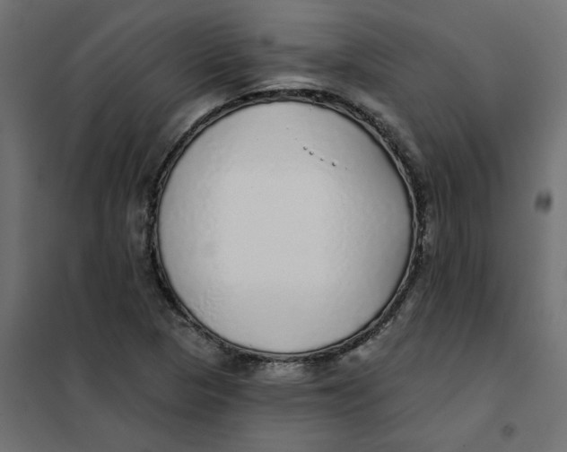 X0000102021313200808081739