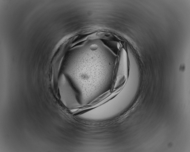 X0000102021314200808081739