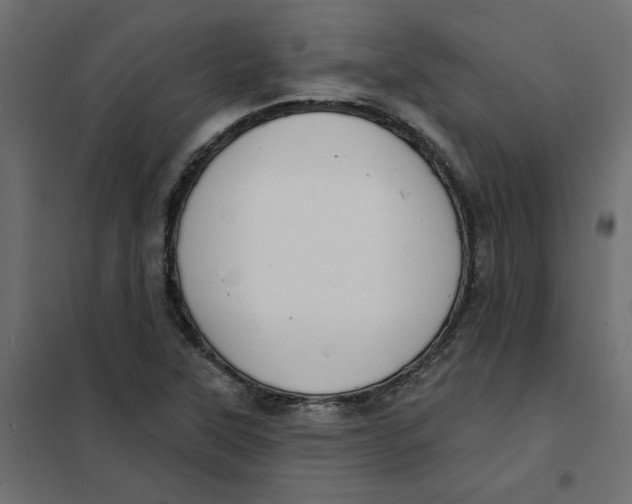 X0000102021315200808081739