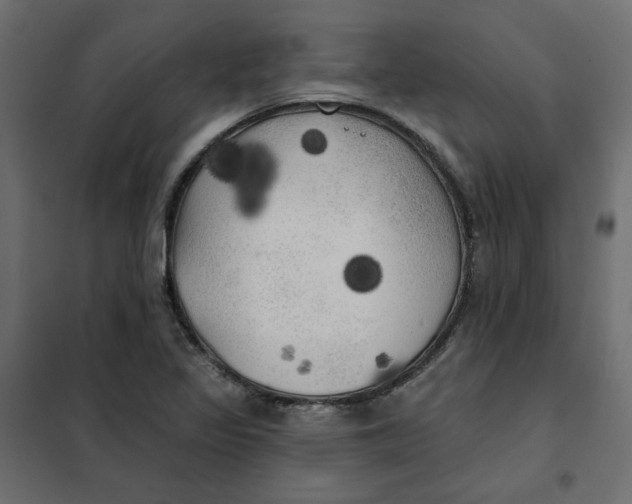X0000102021317200808081739