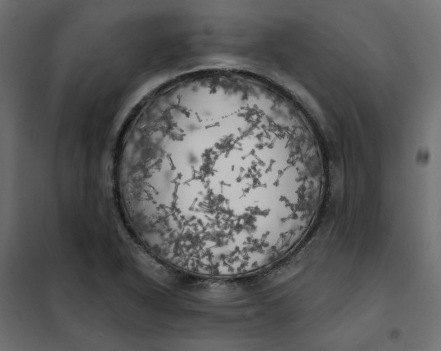 X0000102021318200808081739