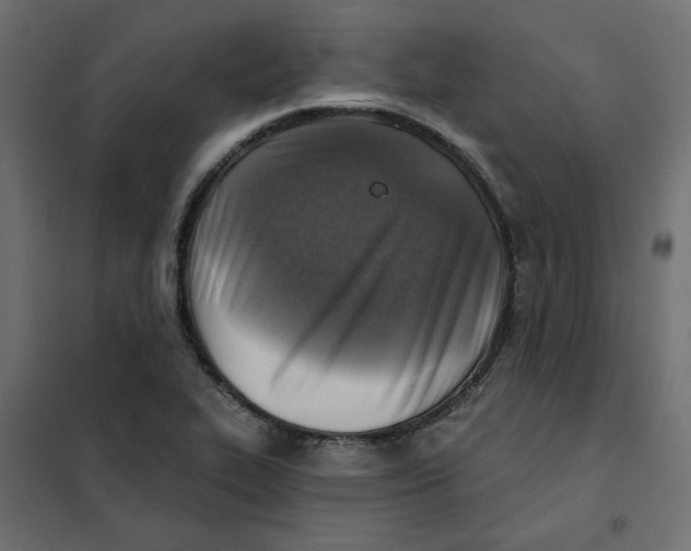 X0000102021319200808081739