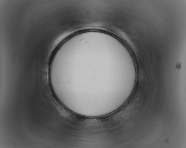 X0000102021320200808081739