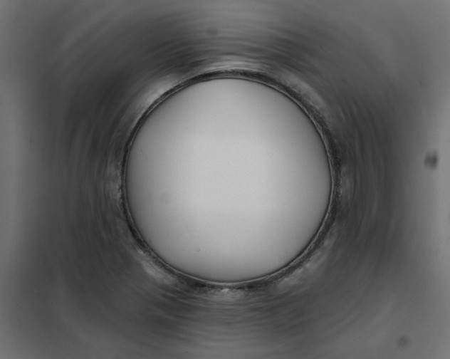 X0000102021321200808081739