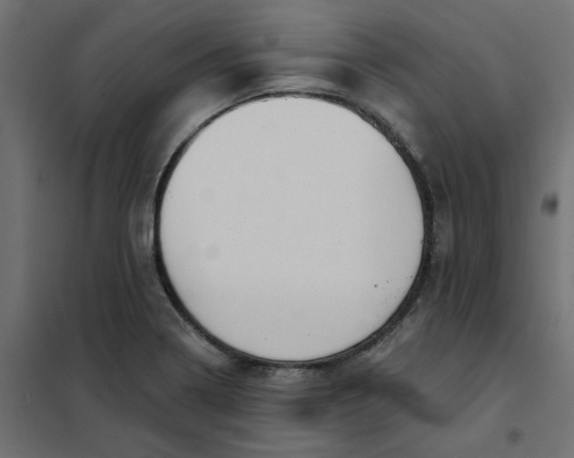 X0000102021322200808081739