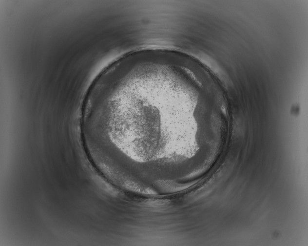 X0000102021325200808081739