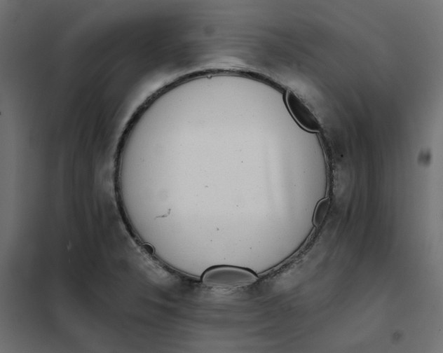 X0000102021326200808081739