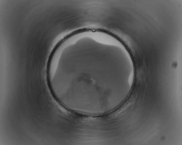 X0000102021327200808081739