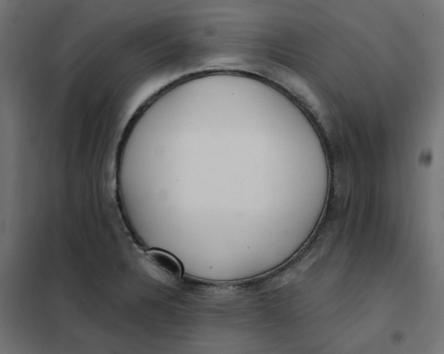 X0000102021328200808081739