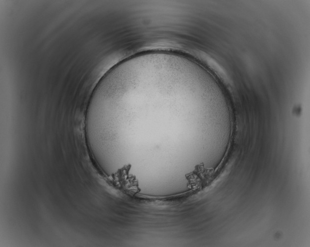X0000102021329200808081739