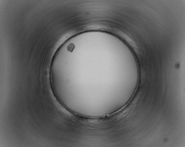X0000102021330200808081739