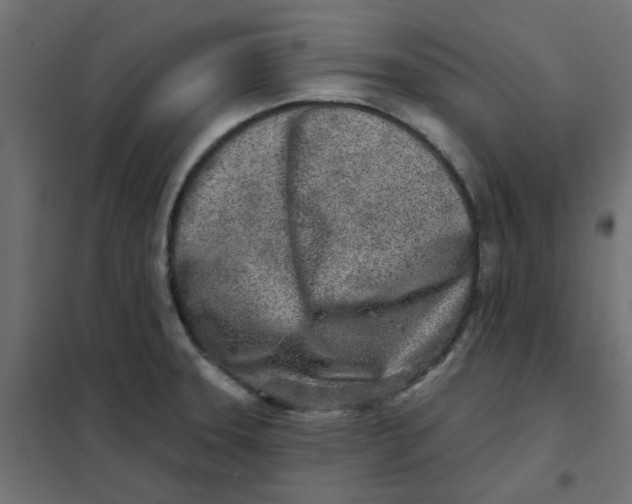 X0000102021331200808081739