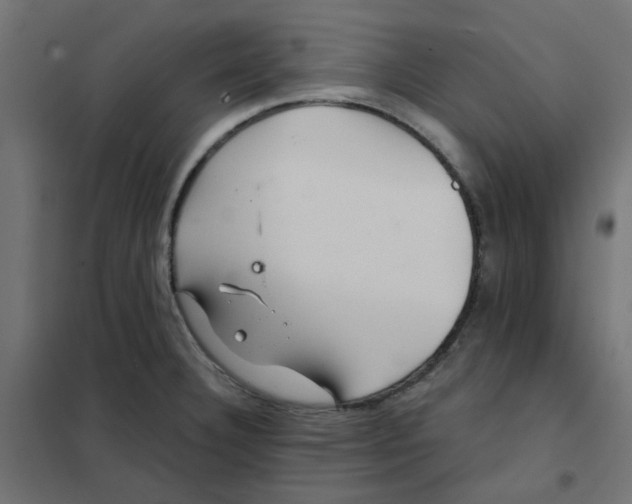 X0000102021332200808081739