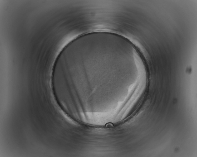 X0000102021333200808081739