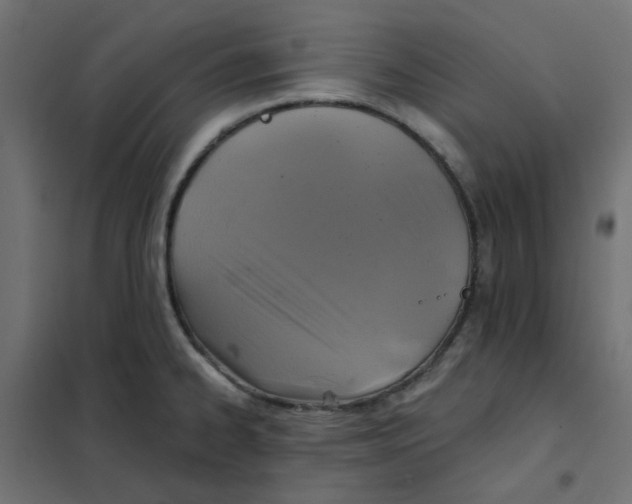 X0000102021334200808081739
