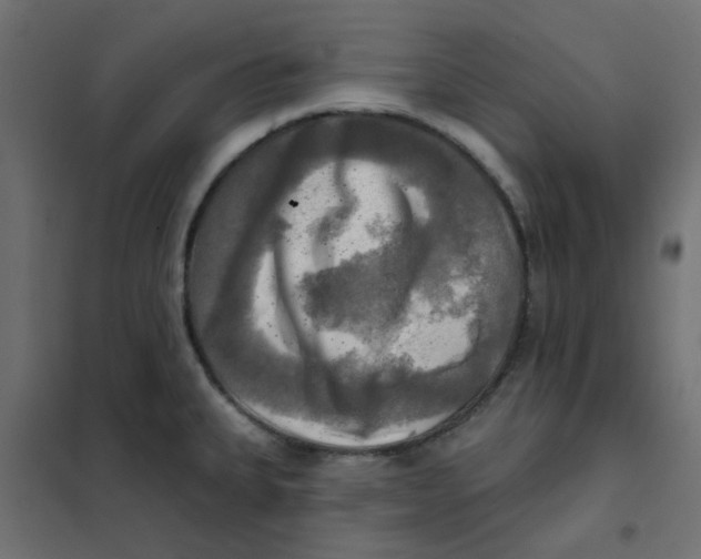 X0000102021335200808081739