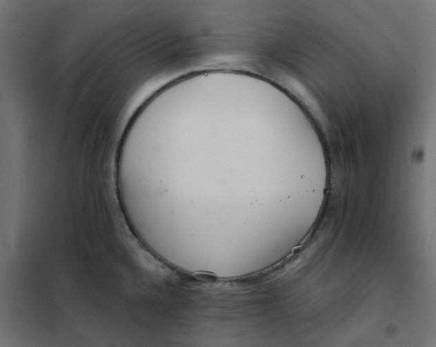 X0000102021336200808081739