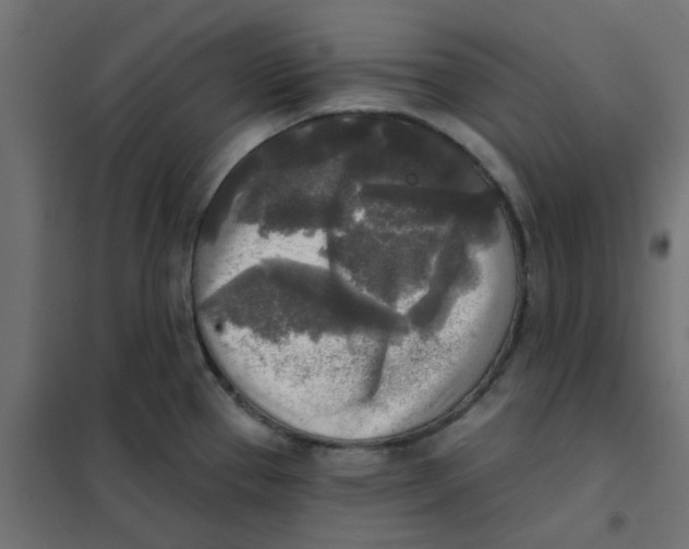 X0000102021337200808081739