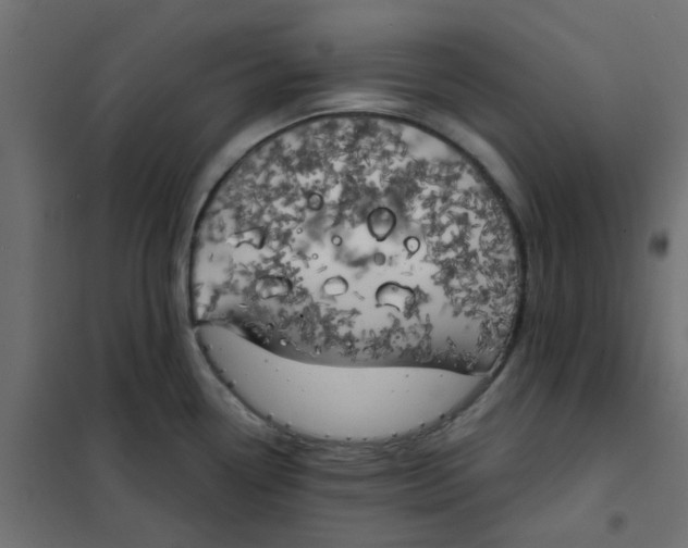 X0000102021338200808081739