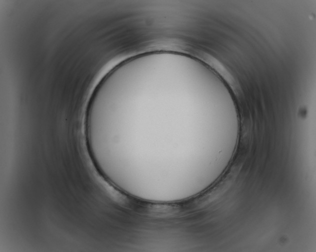 X0000102021339200808081739