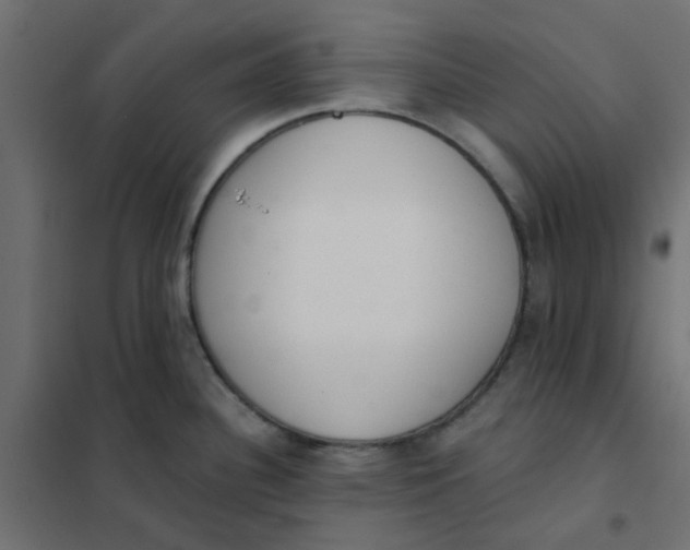 X0000102021340200808081739